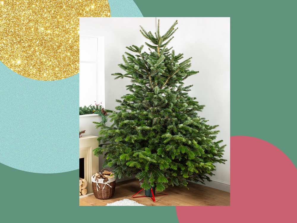 The best Christmas tree stands Keep your festive fir upright and stable